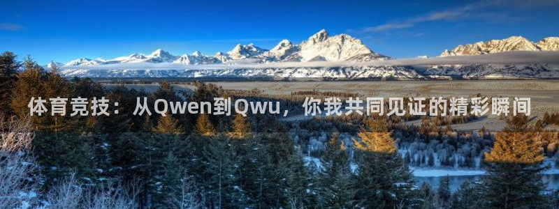 飞球直播足球：体育竞技：从Qwen到Qwu，你我共同见证的精彩瞬间