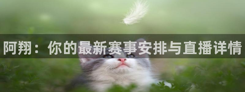 飞球直播ufc：阿翔：你的最新赛事安排与直播详情